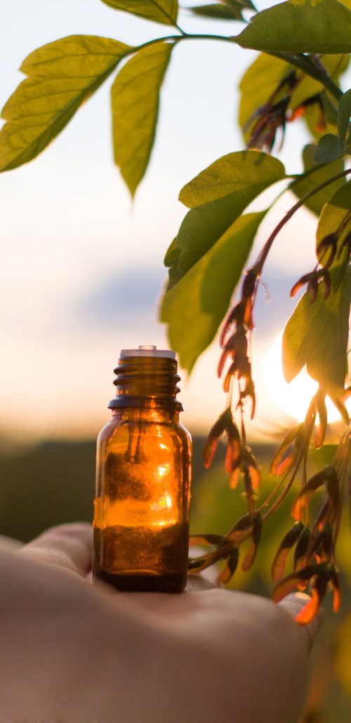 Small bottle against the backdrop of natural greenery